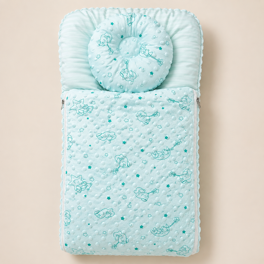 Baby CarryNest  with pillow